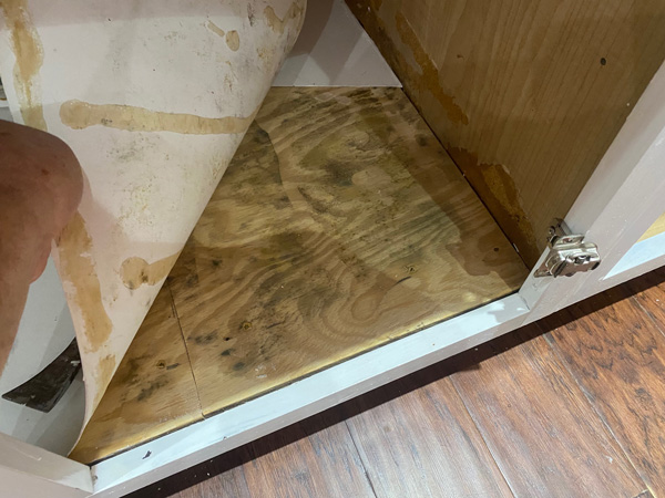 Exposed subfloor with water damage and mold.