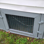 <h3>Mold in Crawl Space</h3>