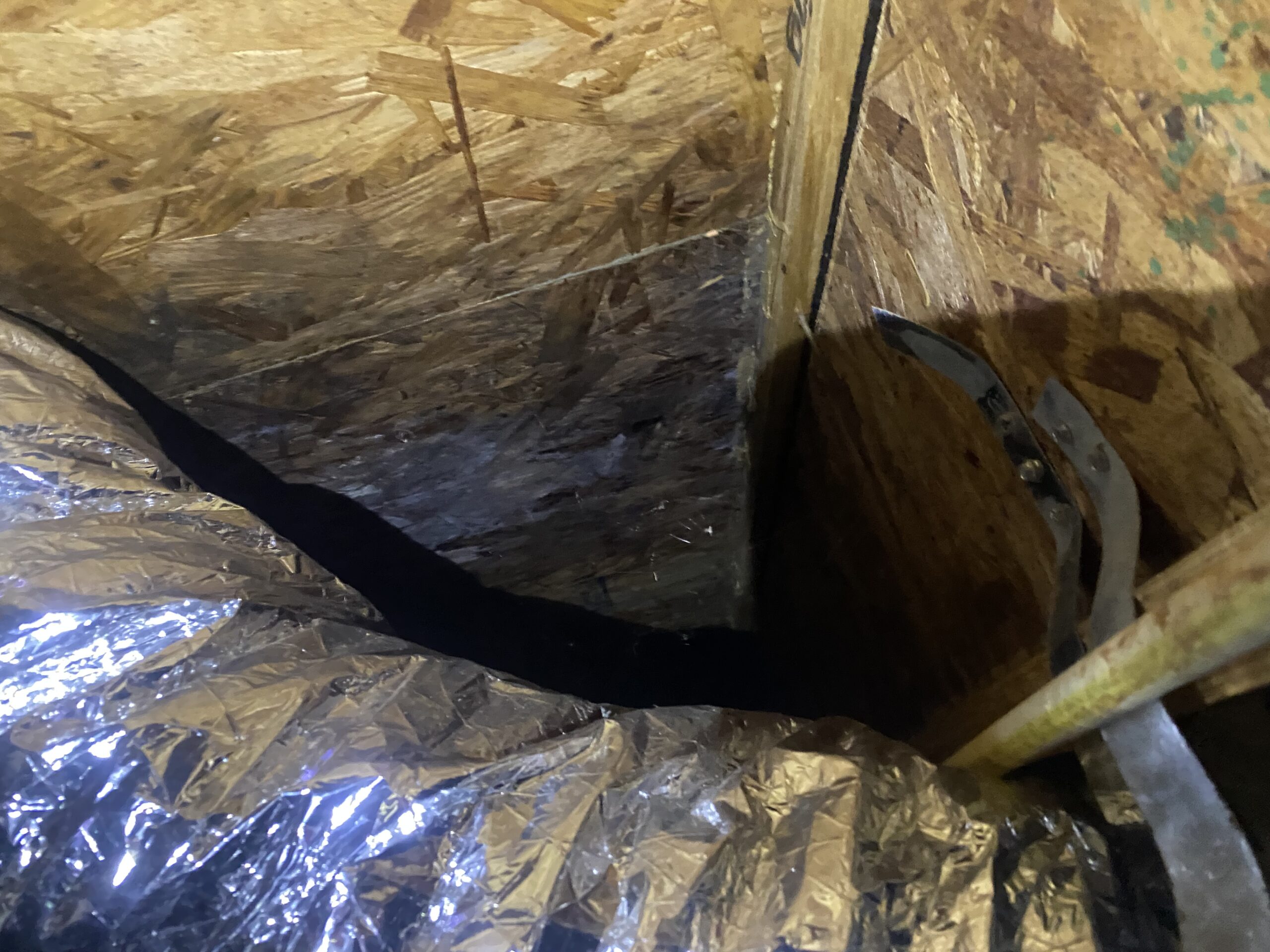 Mold contamination in a residential crawlspace