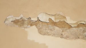 The Health Implications of Mold Exposure